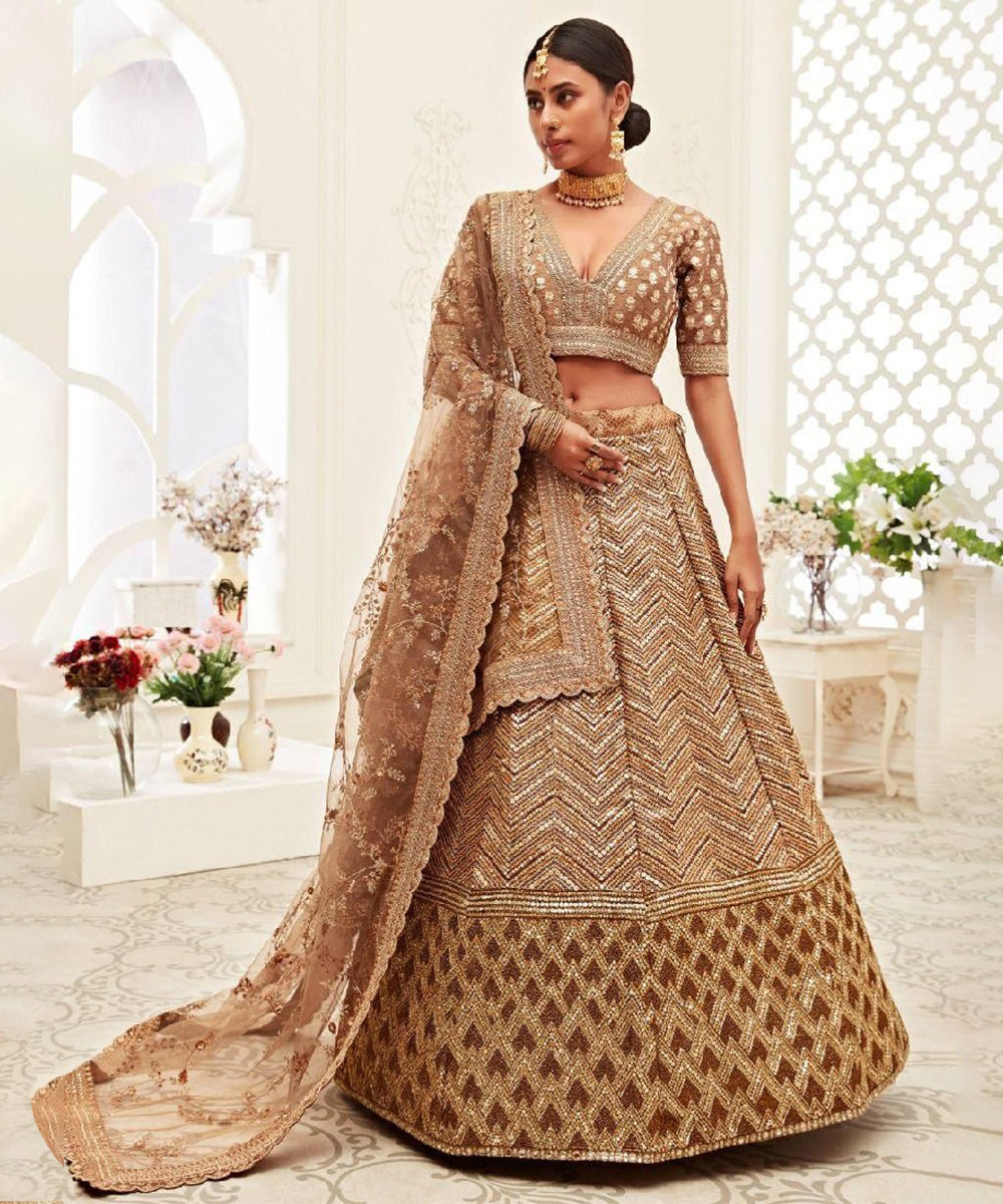Brown Slub Silk Lehenga Choli with Thread Embroidery Unstitched